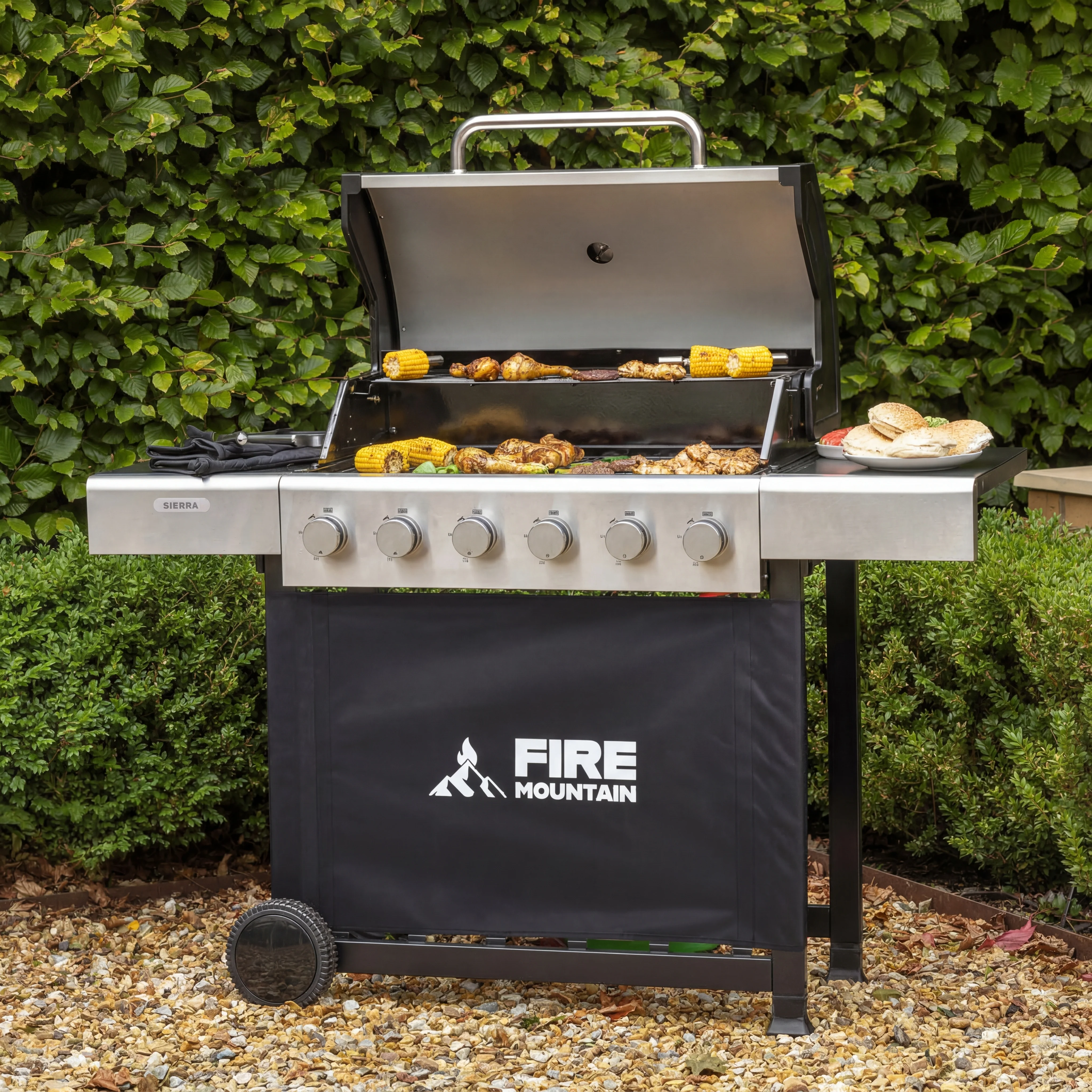 Gas BBQs
